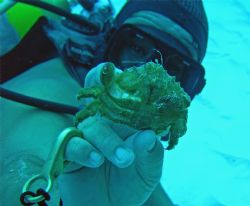 This was our Divemaster (Mario) in Cozumel. Thanks for al... by Garry Rogers 